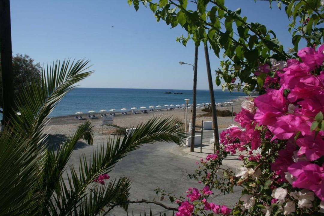 Blick zum Strand Tselios Apartments