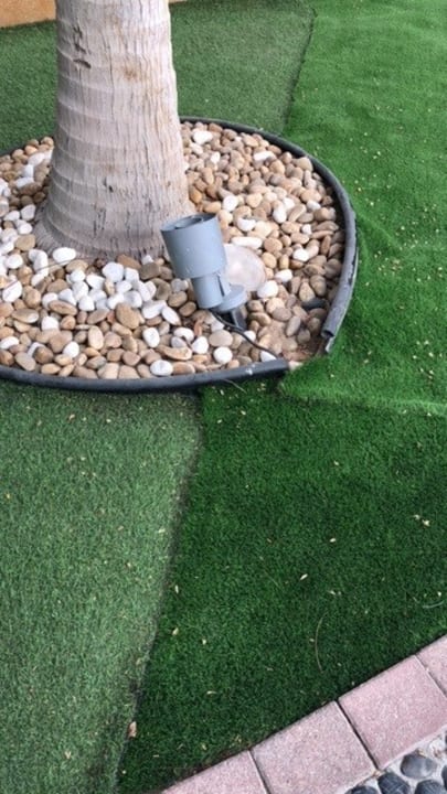 Außenansicht Anantara The Palm Dubai Resort