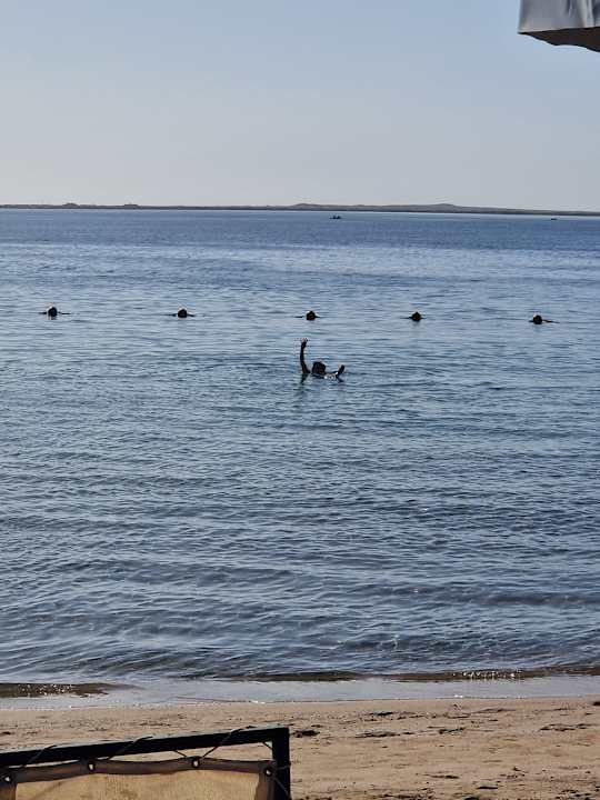 Strand Amarina Abu Soma Resort & Aquapark