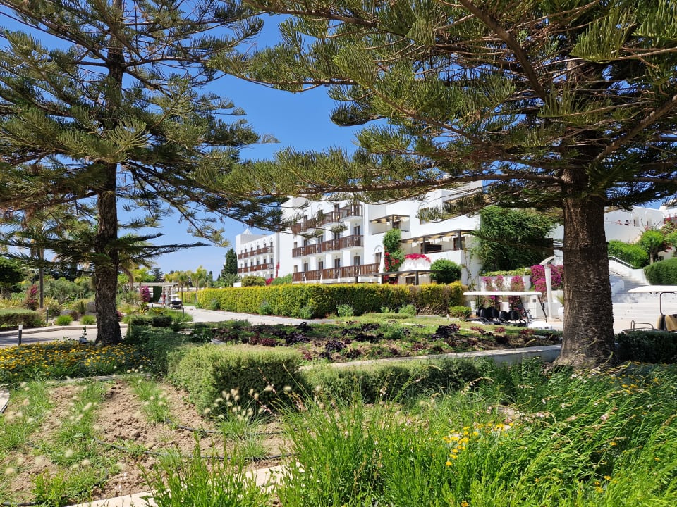 Gartenanlage TUI BLUE Oceanis Beach and Spa Resort