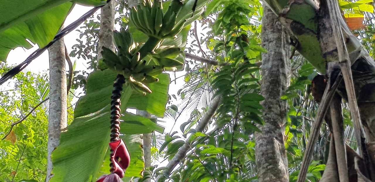 Garten Hotel Tisara Villas