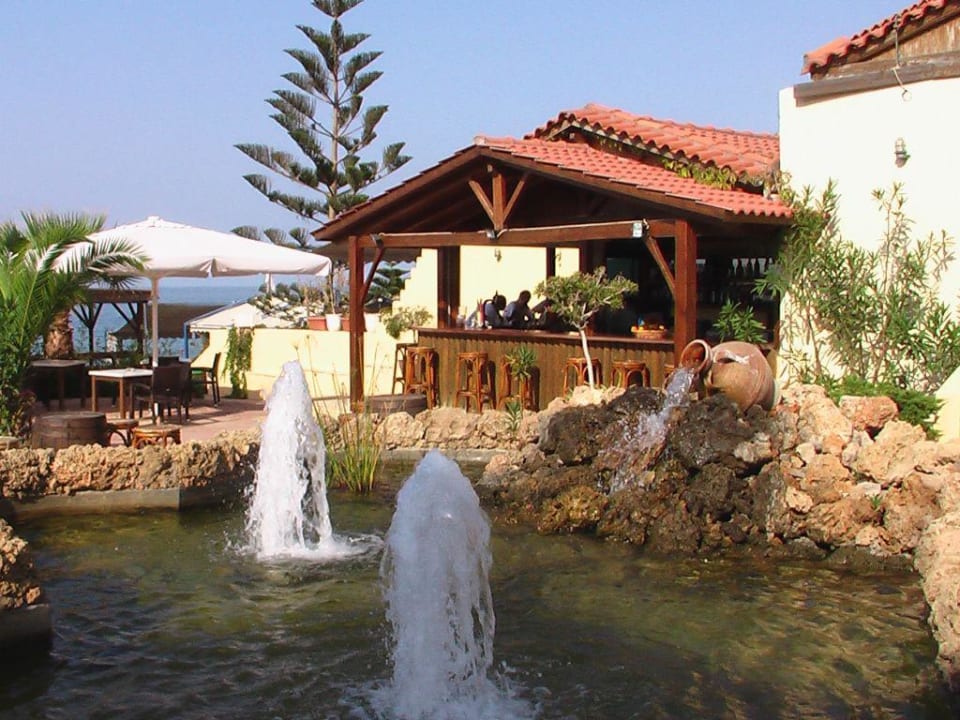 Strand Bar Cactus Beach