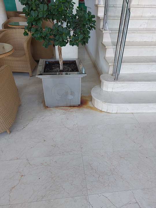 Lobby SBH Costa Calma Beach Resort