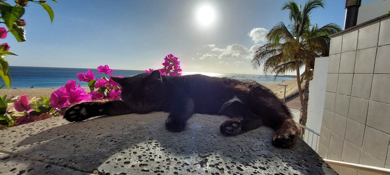 Sonstiges Hotel Riu Palace Jandia