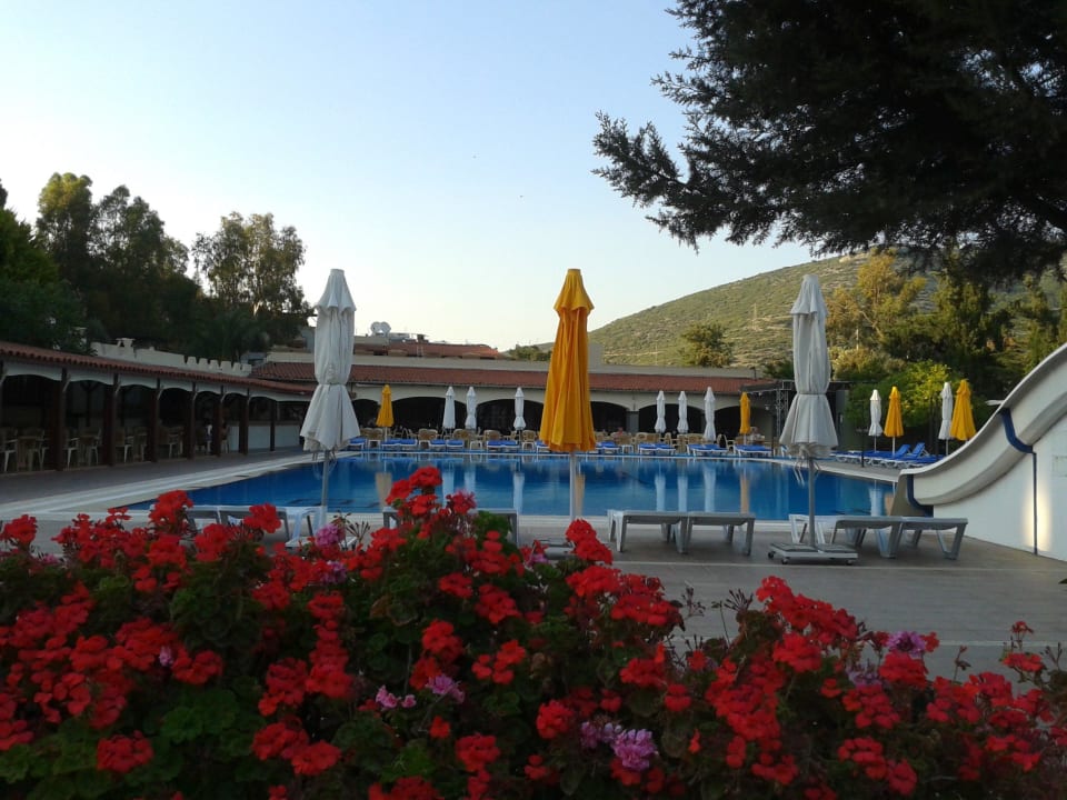 Pool view 2014 Hotel  Pigale