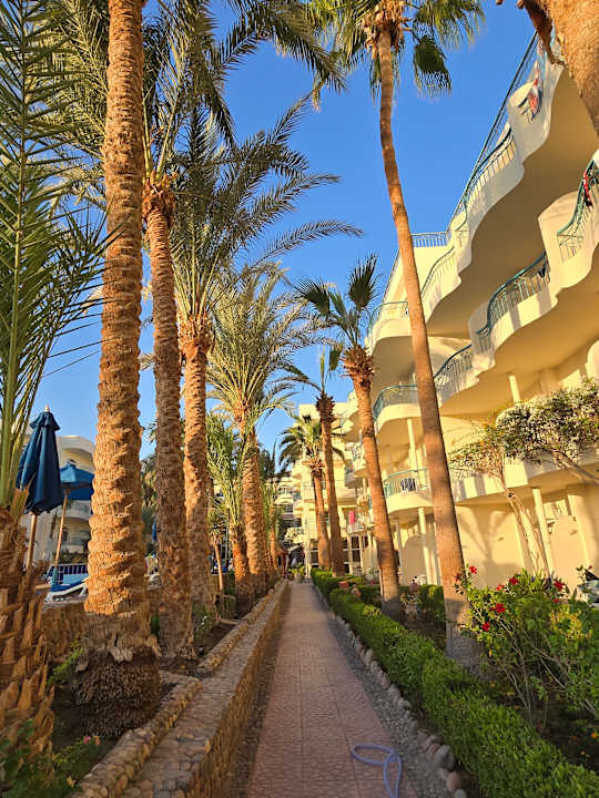 Strand Bella Vista Resort Hurghada