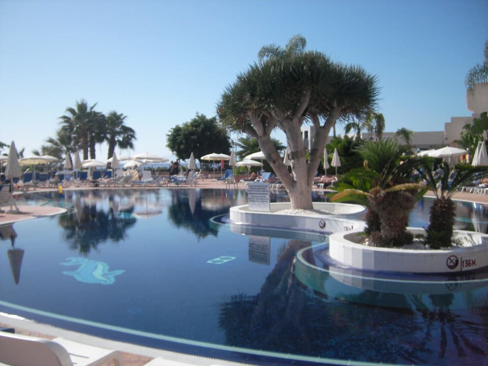 Blick auf einen der zwei sehr gepflegten Pools Landmar Playa La Arena