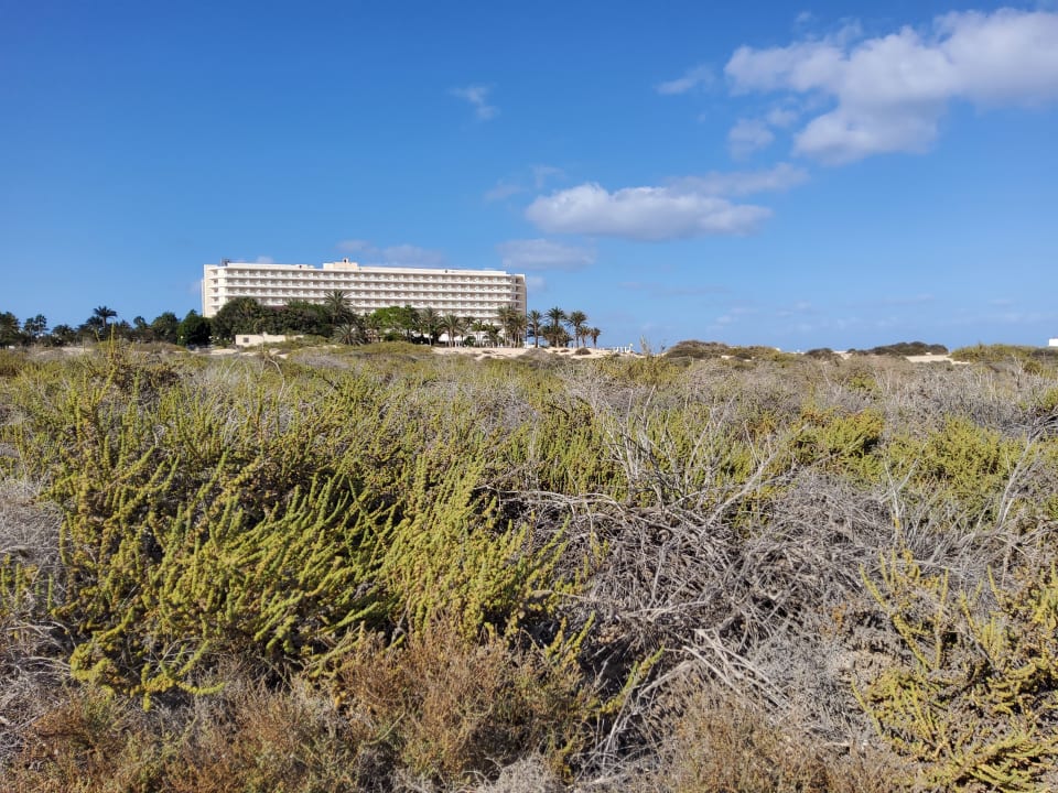 Außenansicht Hotel Riu Oliva Beach Resort