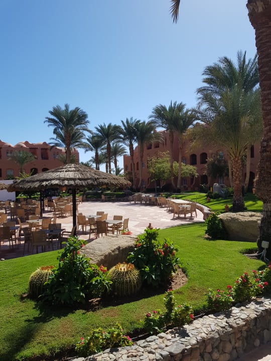 Garten Jaz Makadi Oasis Resort