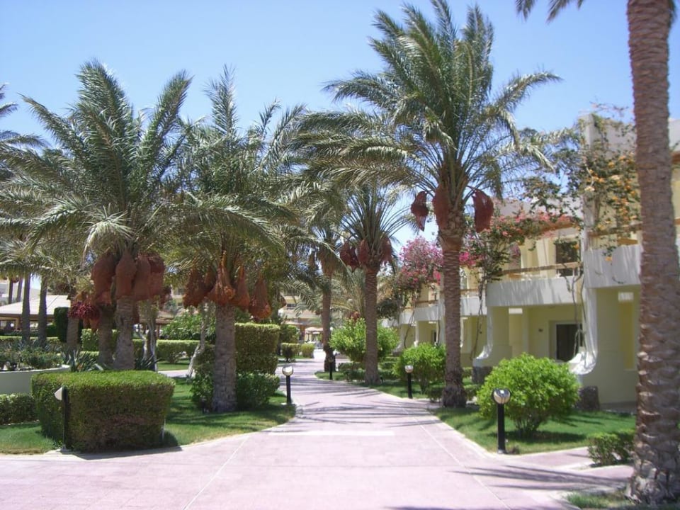 Hotelgarten Palm Beach Resort