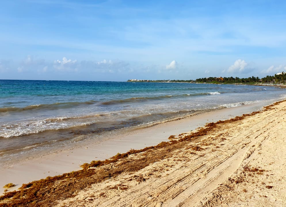 Strand Akumal Bay Beach & Wellness Resort