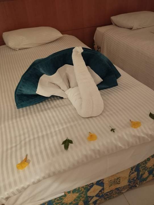 Zimmer MG Alexander The Great Hotel