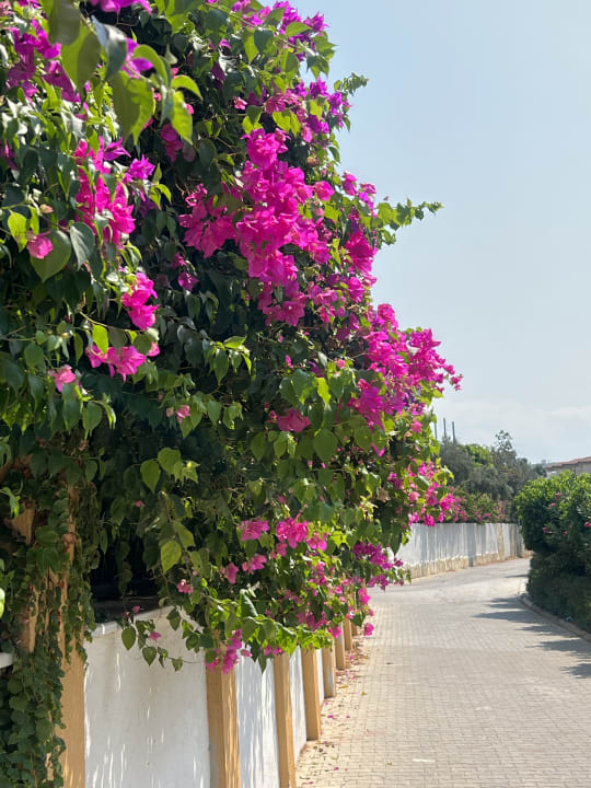 Außenansicht My Home Resort