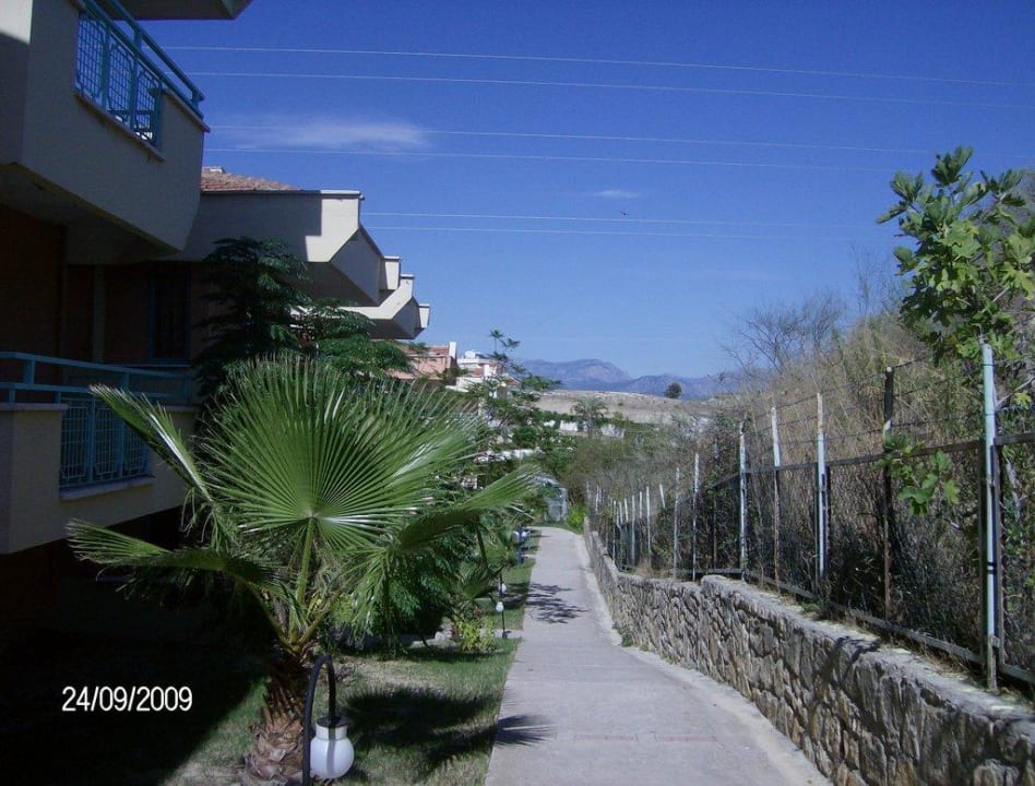 Schöner Garten Dream Family Club