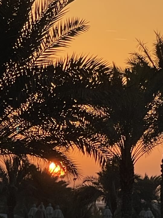 Ausblick Le Royal Méridien Beach Resort & Spa Dubai