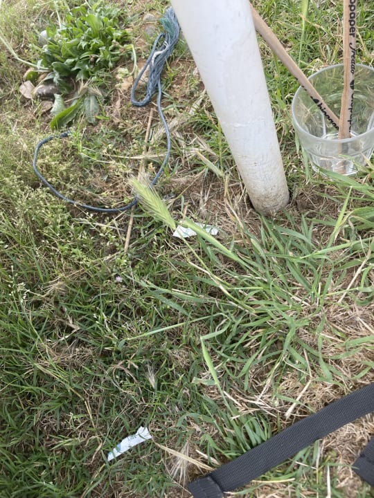 Pool Kiani Beach Resort Family All Inclusive