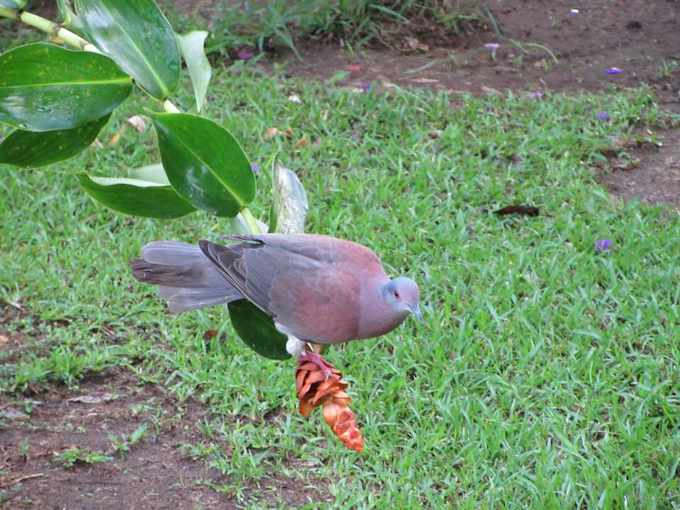 Sonstiges All Rankins Eco-Lodge