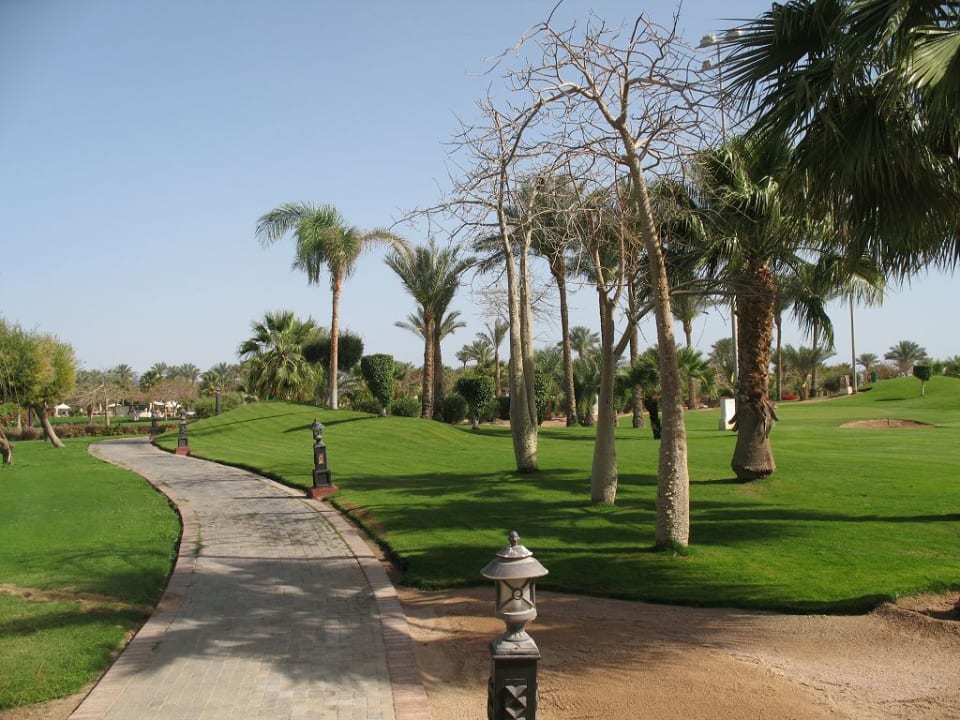 Gartenanlage Steigenberger ALDAU Beach Hotel