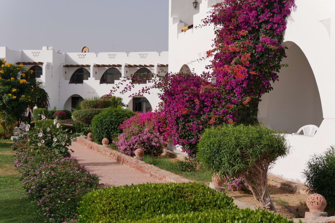 Außenansicht Three Corners Equinox Beach Resort