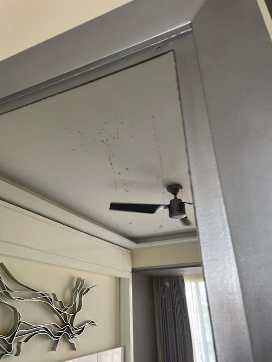 Zimmer Royalton Negril Resort & Spa