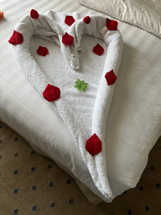 Zimmer Premier Le Reve Hotel & Spa