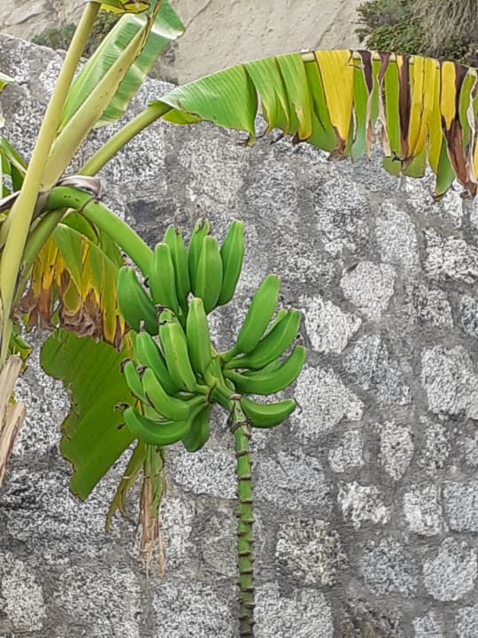 Sonstiges Aldiana Club Rocca Nettuno Calabria