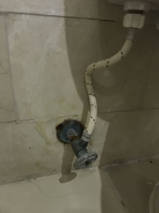 Masakra  Royalton Splash Punta Cana