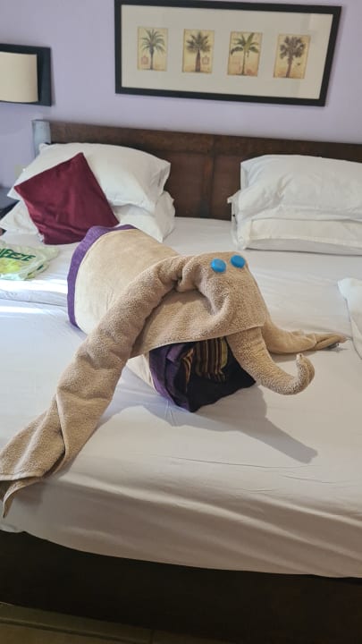 Zimmer JAZ Neo Saraya Palms