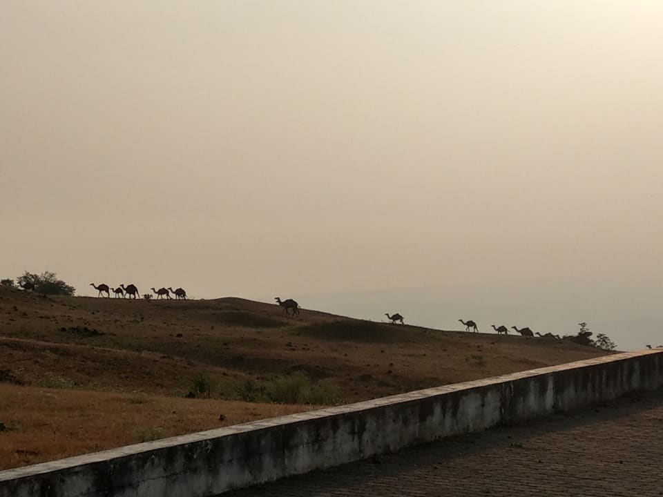 Sonstiges Salalah Rotana Resort