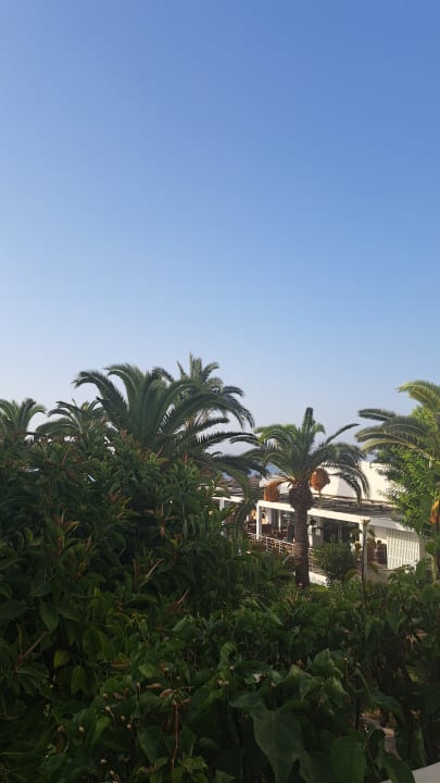 Ausblick The Orangers Beach Resort and Bungalows