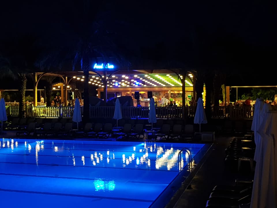 Pool Royal Wings Hotel
