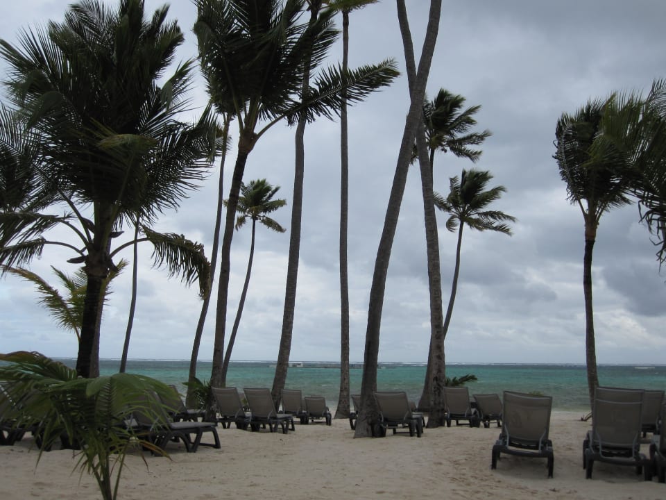 Pool/Strand Barceló Bávaro Palace