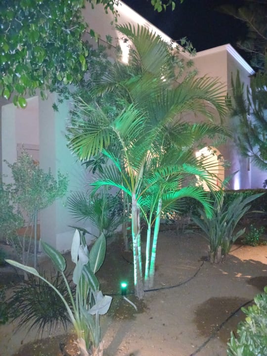 Gartenanlage Vantaris Luxury Beach Resort