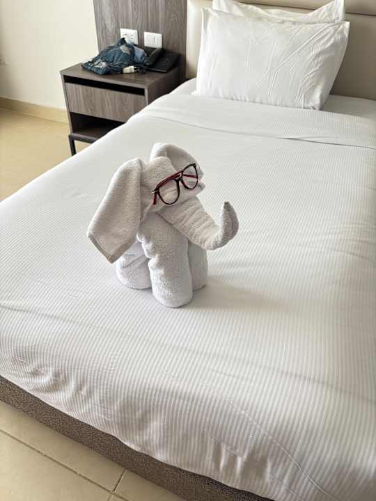 Zimmer Albatros Makadi Resort