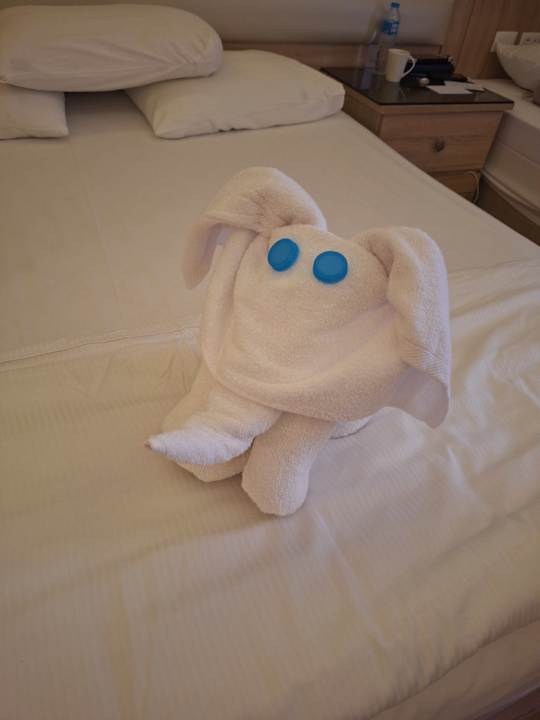 Sonstiges Pickalbatros Aqua Park Resort - Hurghada