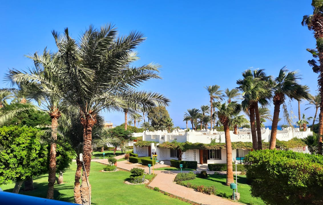 Ausblick Shams Safaga Resort