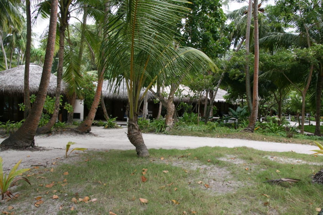Zimmer in der Gartennlage Kuramathi Maldives