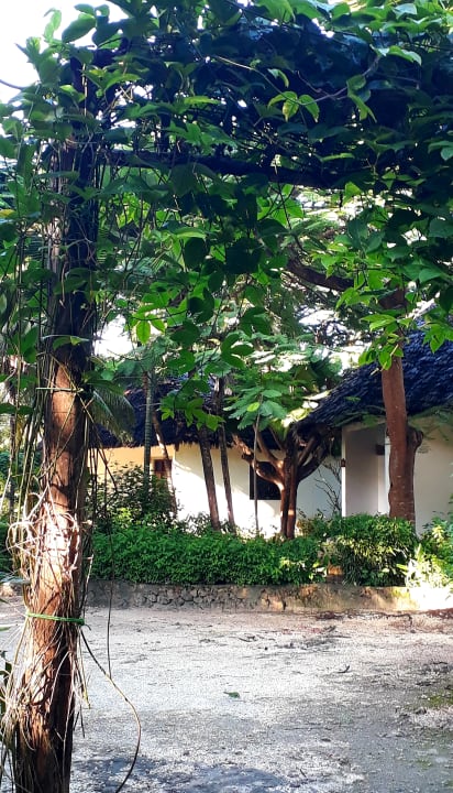 Gartenanlage Spice Island Hotel & Resort