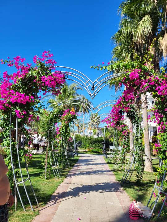 Gartenanlage Belek Beach Resort Hotel