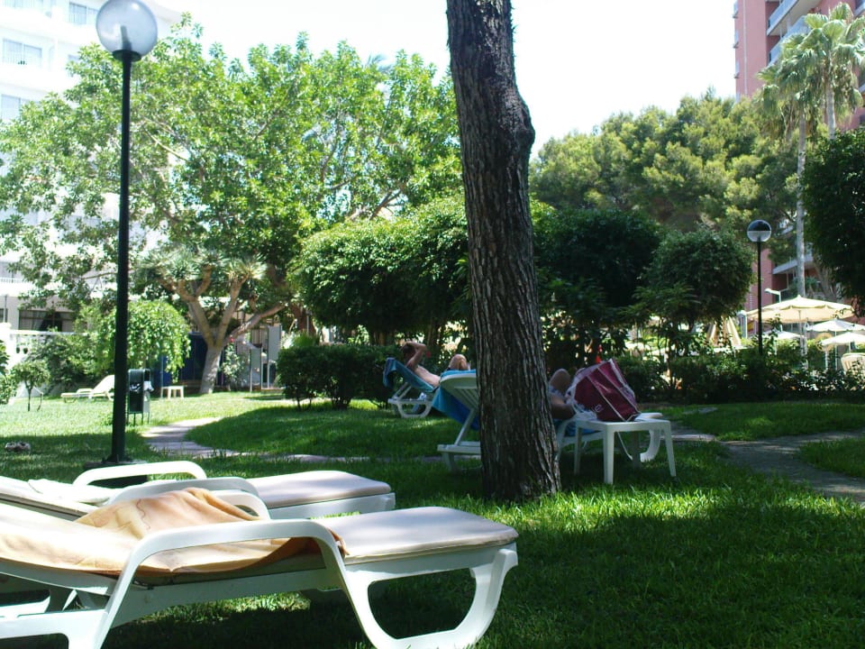 Hier lässt es sich gut entspannen Hotel Riu Festival