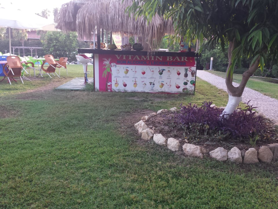 Lecker lecker Horus Paradise Luxury Resort & Club