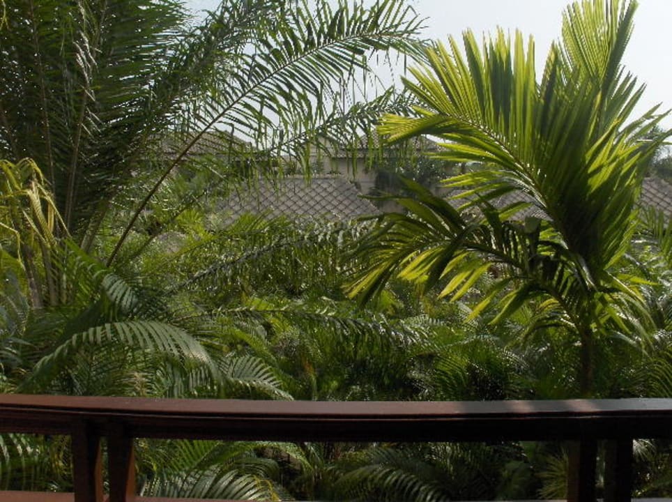 Blick vom Balkon in den Garten ROBINSON KHAO LAK