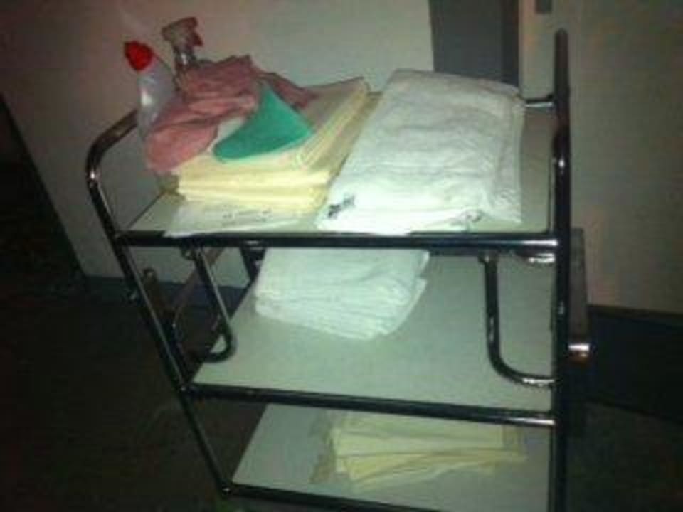 Reinigunswagen Hotel am Park