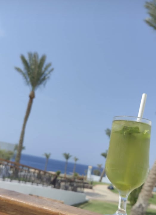 Gastro SUNRISE Remal Beach Resort