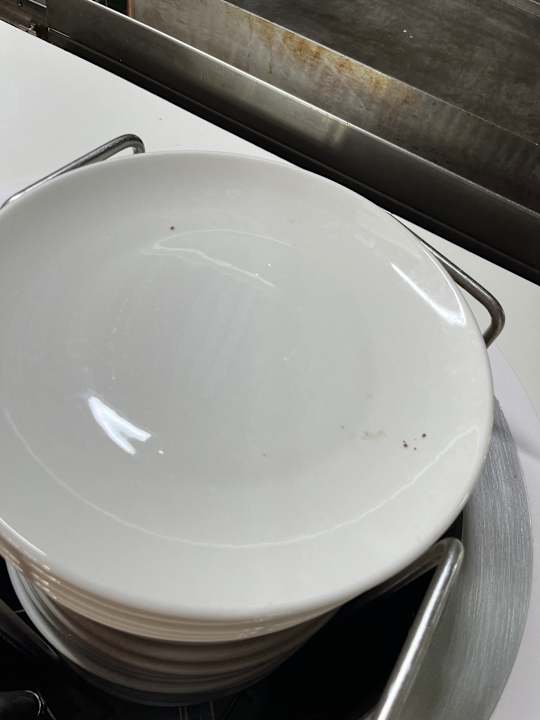 Gastro Adam & Eve - Adults only