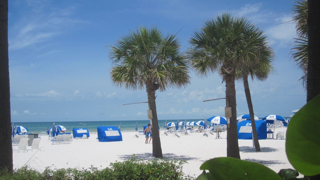 Blick vom Poolbereich Hotel The Don Cesar Beach Resort & Spa
