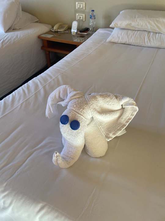 Zimmer Akassia Swiss Resort