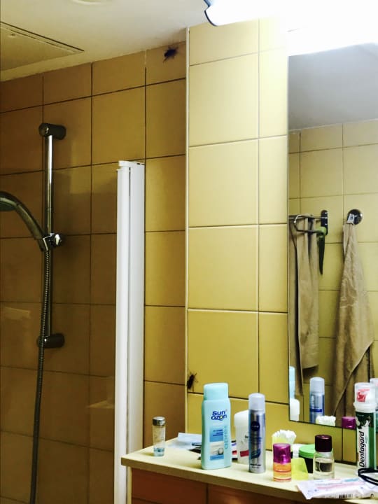 Zimmer SBH Hotel Taro Beach