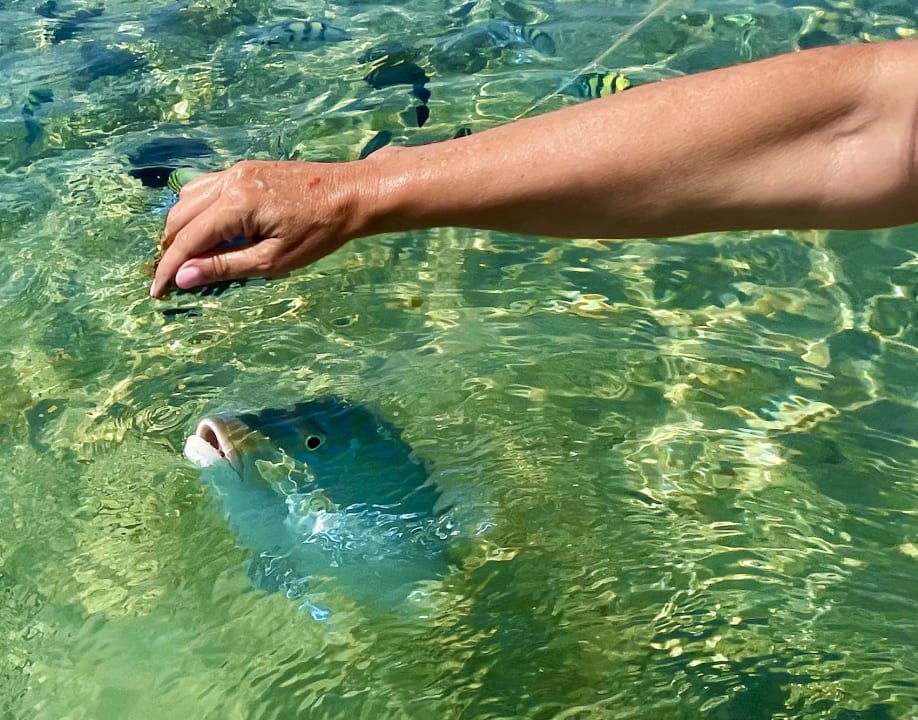 Strand ROBINSON SOMA BAY