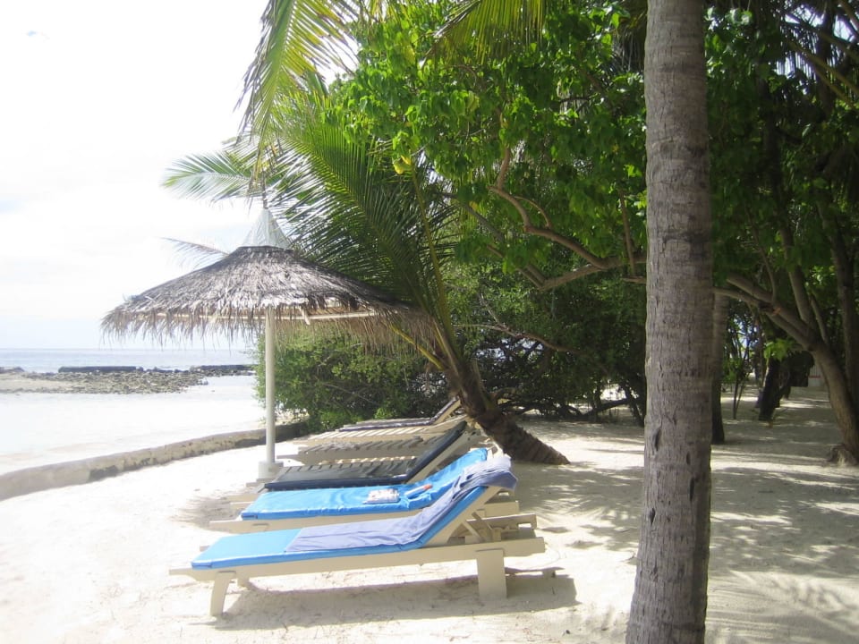 Strandansicht Ellaidhoo Maldives by Cinnamon
